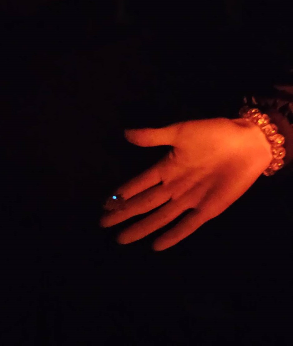 藍眼淚的主要發光生物為夜光蟲。攝影／楊雅棠